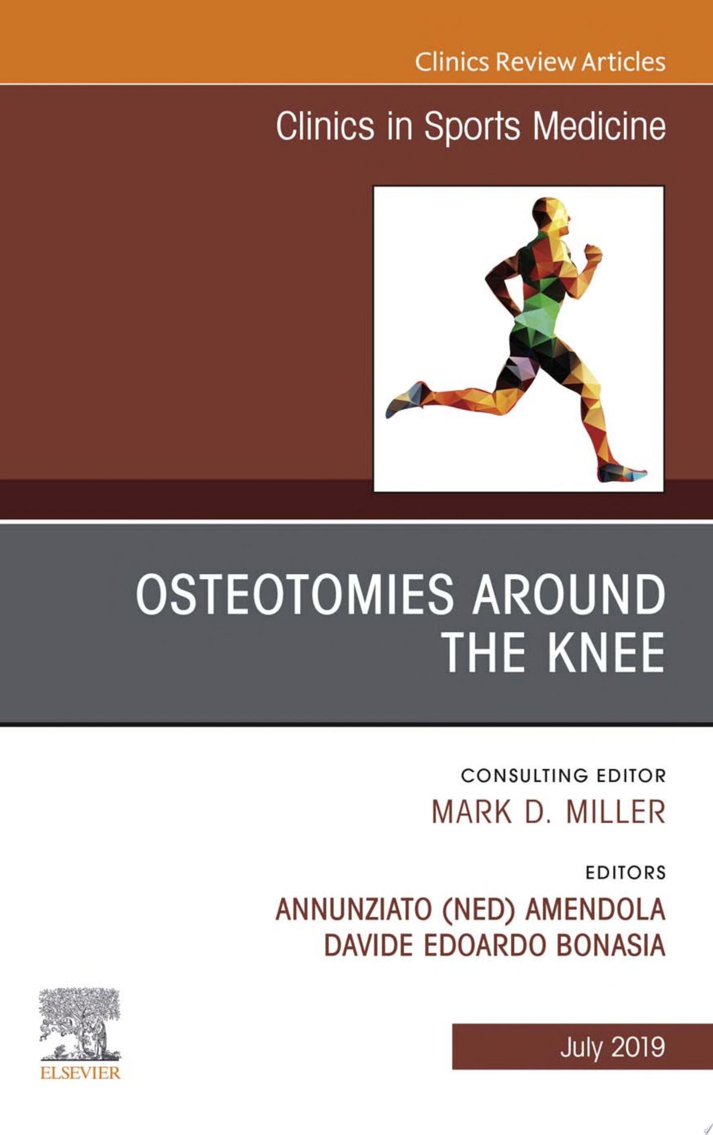 Osteotomies Around the Knee, An Issue of Clinics in Sports Medicine (Volume 38-3) (The Clinics: Orthopedics, Volume 38-3)