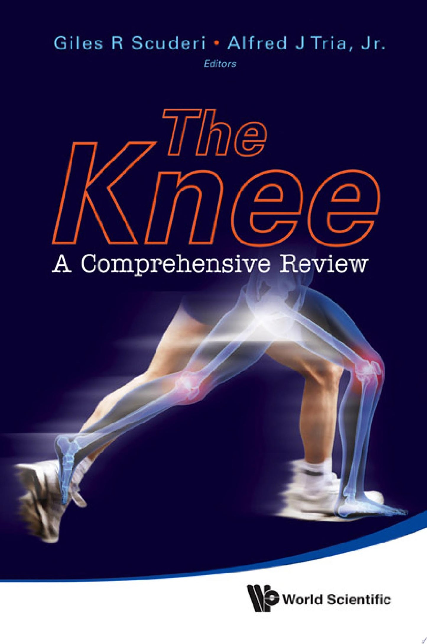 The Knee: A Comprehensive Review