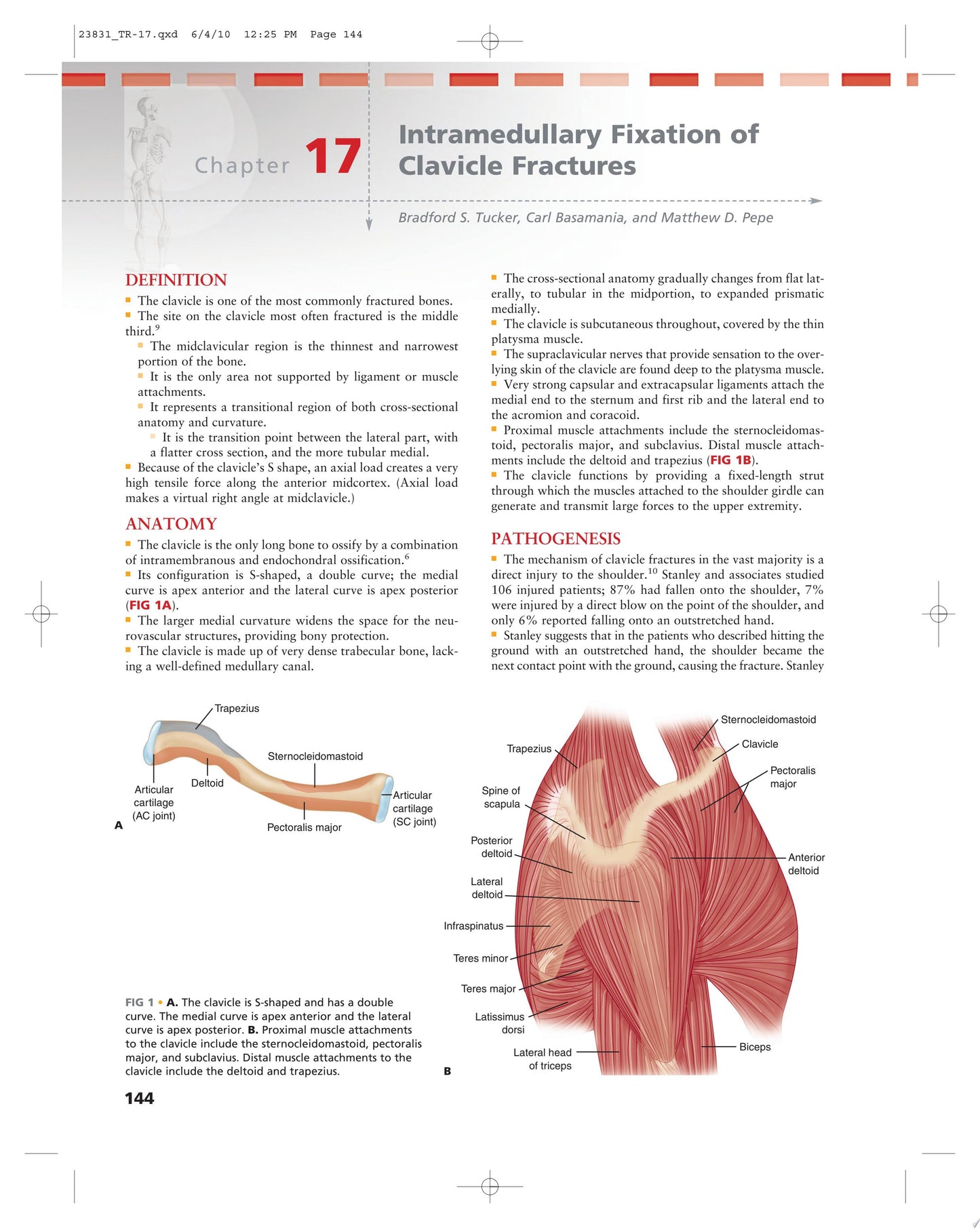 Operative Techniques in Orthopaedic Trauma Surgery (ORIGINAL PDF from Publisher)